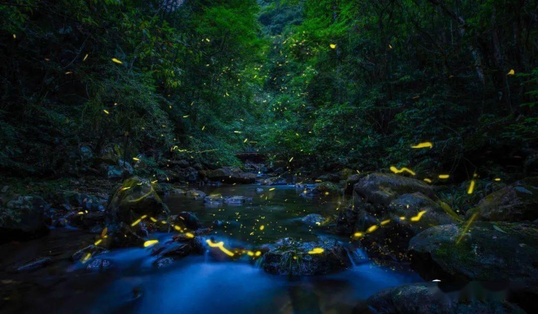 《幻兽帕鲁》捡树枝方法