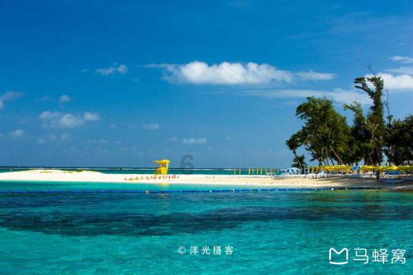 寻找沙漠珍宝